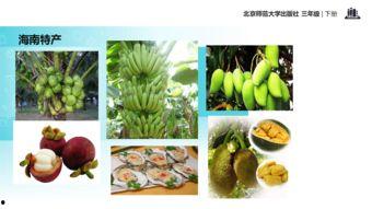 26页ppt吃瓜,26页PPT深度解析