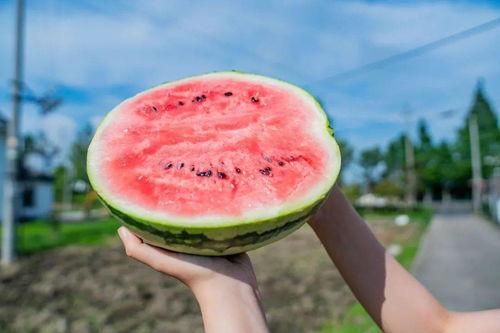 卡颜吃瓜,揭秘娱乐圈幕后真相