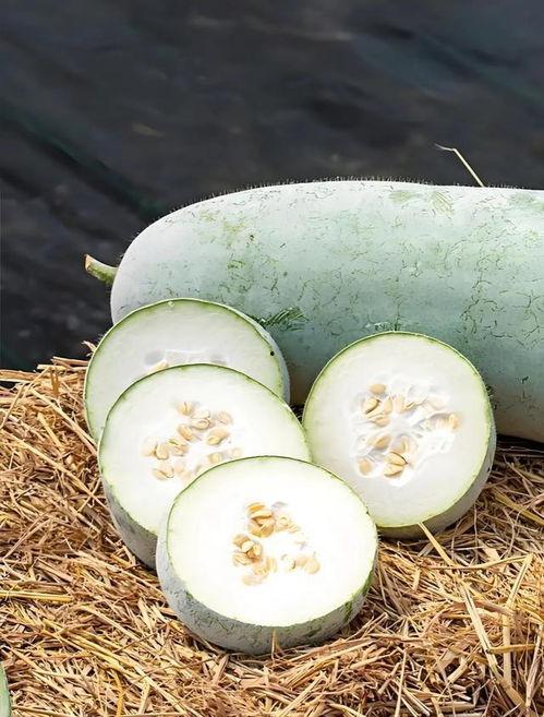 有冬天吃的瓜吗,探寻冬季可食瓜果的奇妙之旅