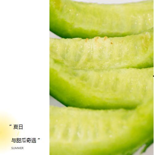 溧阳吃瓜群,揭秘网络社交圈的趣味与争议