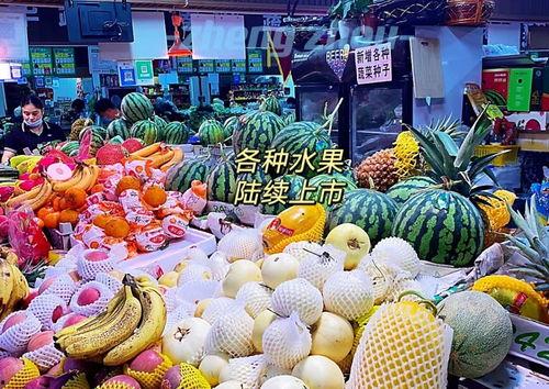 郑州朱迪 吃瓜,揭秘网络“吃瓜”文化的魅力与争议