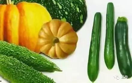 喃音吃瓜视频,探寻喃音吃瓜背后的趣味与真相