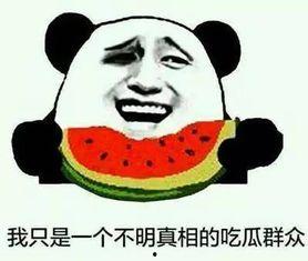 带你吃瓜神奇的假货