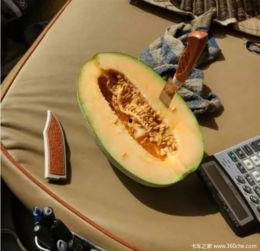 吃瓜的瓜作者,揭秘网络热词背后的故事