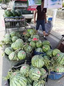 沭阳热门吃瓜事件