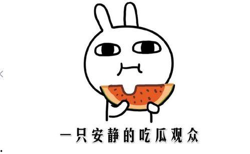 抖音吃瓜新闻,揭秘娱乐圈最新热点事件