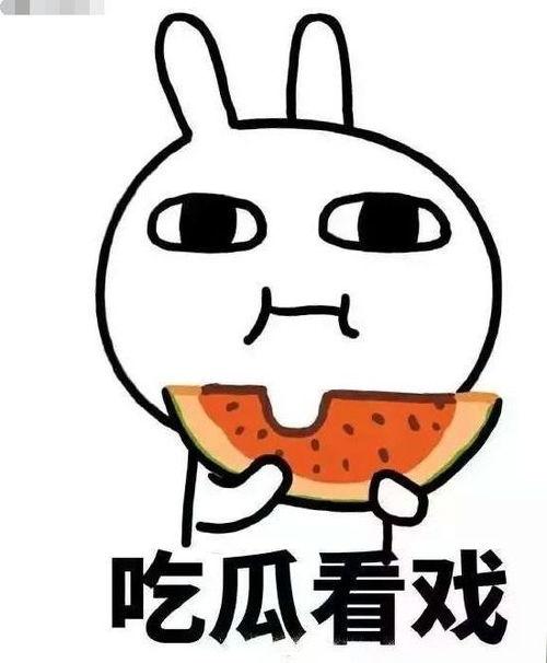 吃瓜师傅后续,揭秘娱乐圈背后的真相与风波