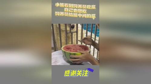 吃瓜小熊二,揭秘娱乐圈的甜蜜瓜田