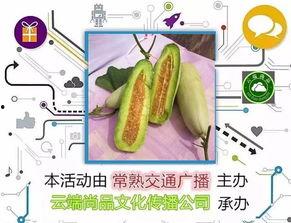 羊角瓜怀孕可以吃,营养与安全的双重保障
