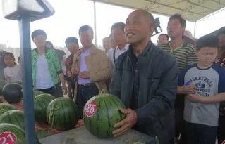 历下区吃瓜群众,吃瓜群众的美食盛宴