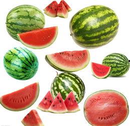 南镇吃瓜,探寻夏日里的美味瓜果盛宴