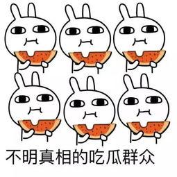 敷衍本衍吃瓜,揭秘娱乐圈幕后真相