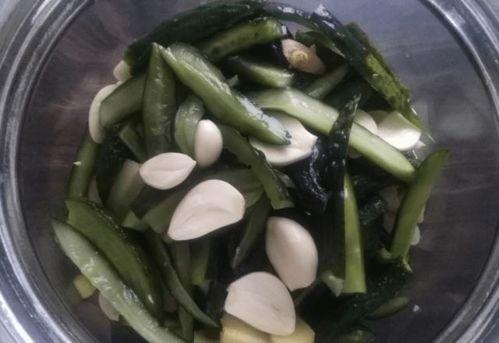 瓜酱吃瓜,吃瓜乐趣无限