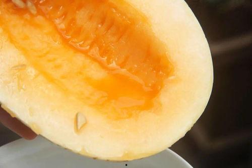 今年吃瓜的速度,瓜界风云录