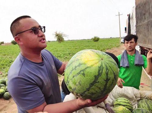 王进吃瓜,揭秘娱乐圈背后的那些事儿