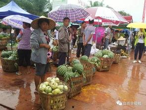 吃瓜群众演出开幕
