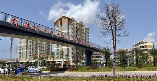 桂电北海校区吃瓜,吃瓜群众眼中的校园生活剪影