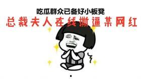 总裁夫人吃瓜,揭秘豪门背后的秘密风云