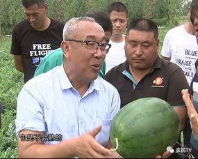 51吃瓜加州博士