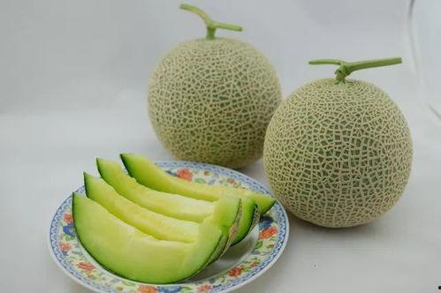 在你家吃瓜,品味生活，共享欢乐时光