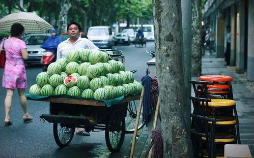 浦东人吃瓜卖瓜,瓜农与食客的甜蜜交易