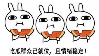 吃瓜路过无聊瞎扯淡,无聊时刻的瞎扯淡之旅