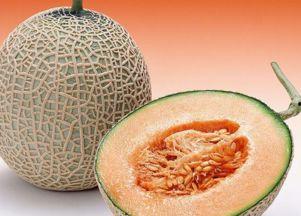 孕妇可以吃哈密瓜吗吗,营养与安全并重