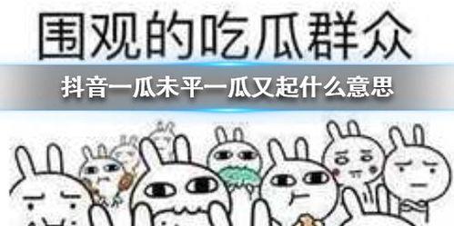 抖音吃瓜文,揭秘娱乐圈背后的那些事儿