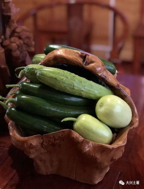 自贡网红吃瓜,揭秘网络红人的幕后故事