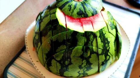 花花猪吃瓜,花花猪的瓜界探险记