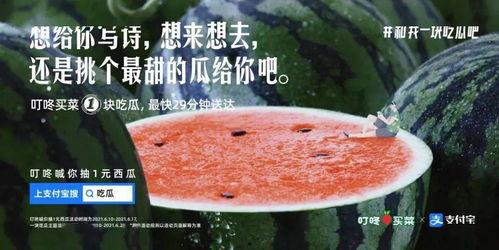 求婚吃瓜文案,一场别开生面的求婚吃瓜盛宴