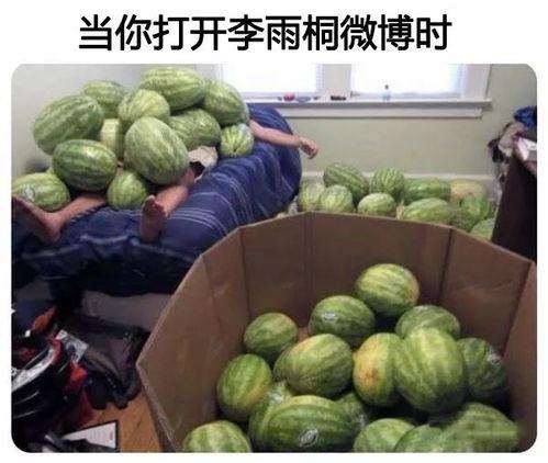 吃瓜网吃瓜大赛在线
