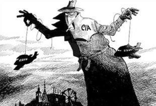 吃瓜群众张土炮,吃瓜群众的麻辣点评